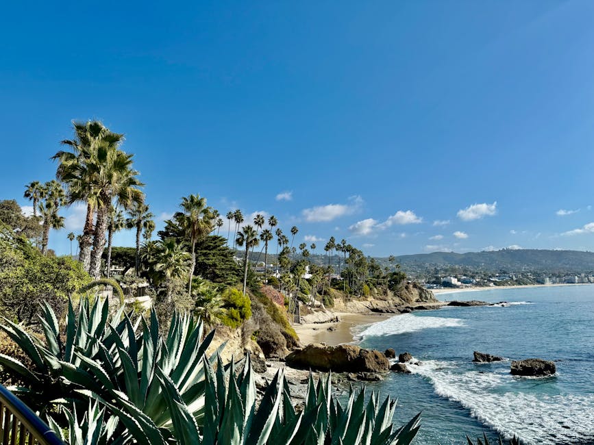 pexels-photo-29868558-29868558-1 A vibrant view of Laguna Beach coastline with palm trees and clear blue skies.